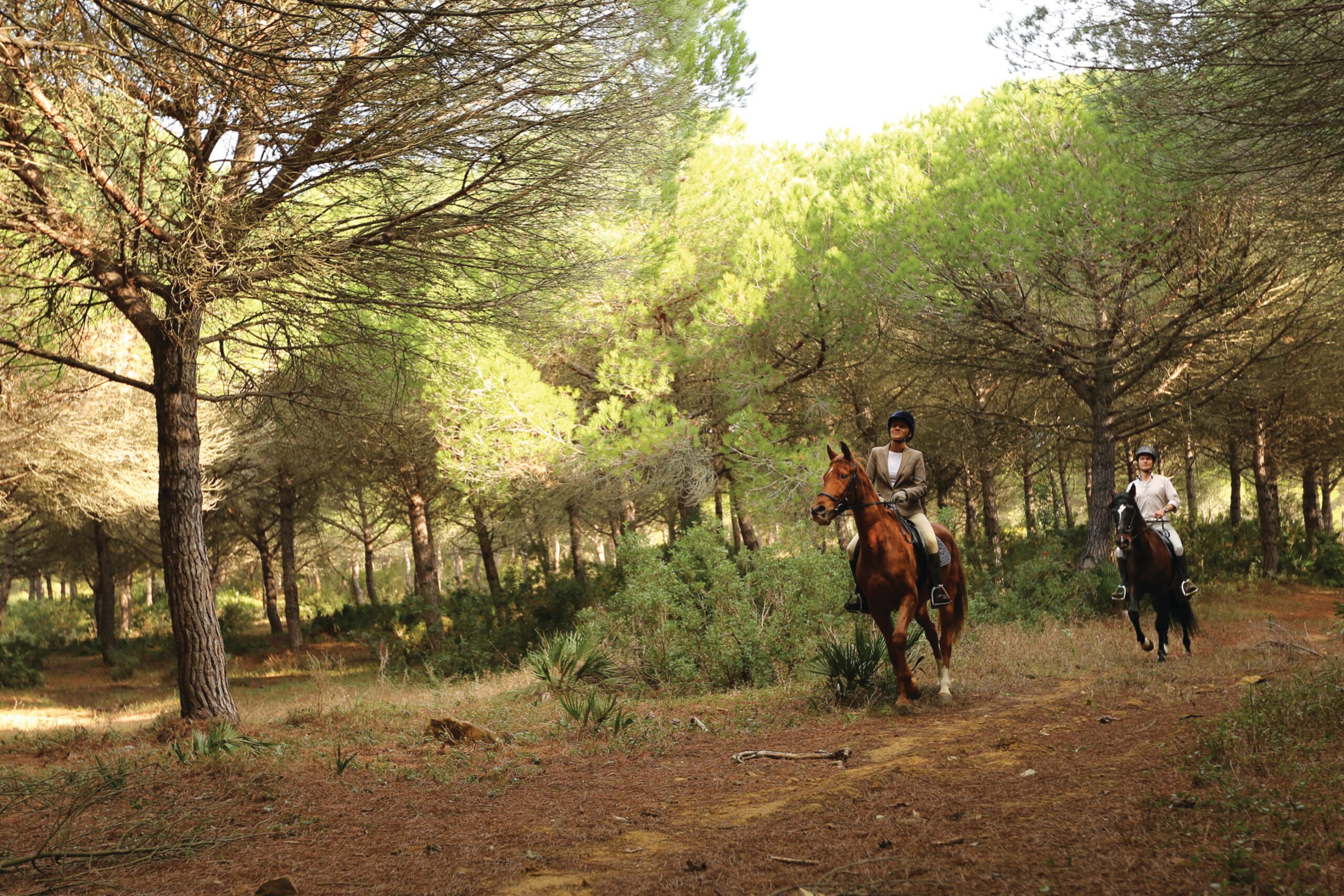 Two individuals riding horses through the Andalucian landscape.