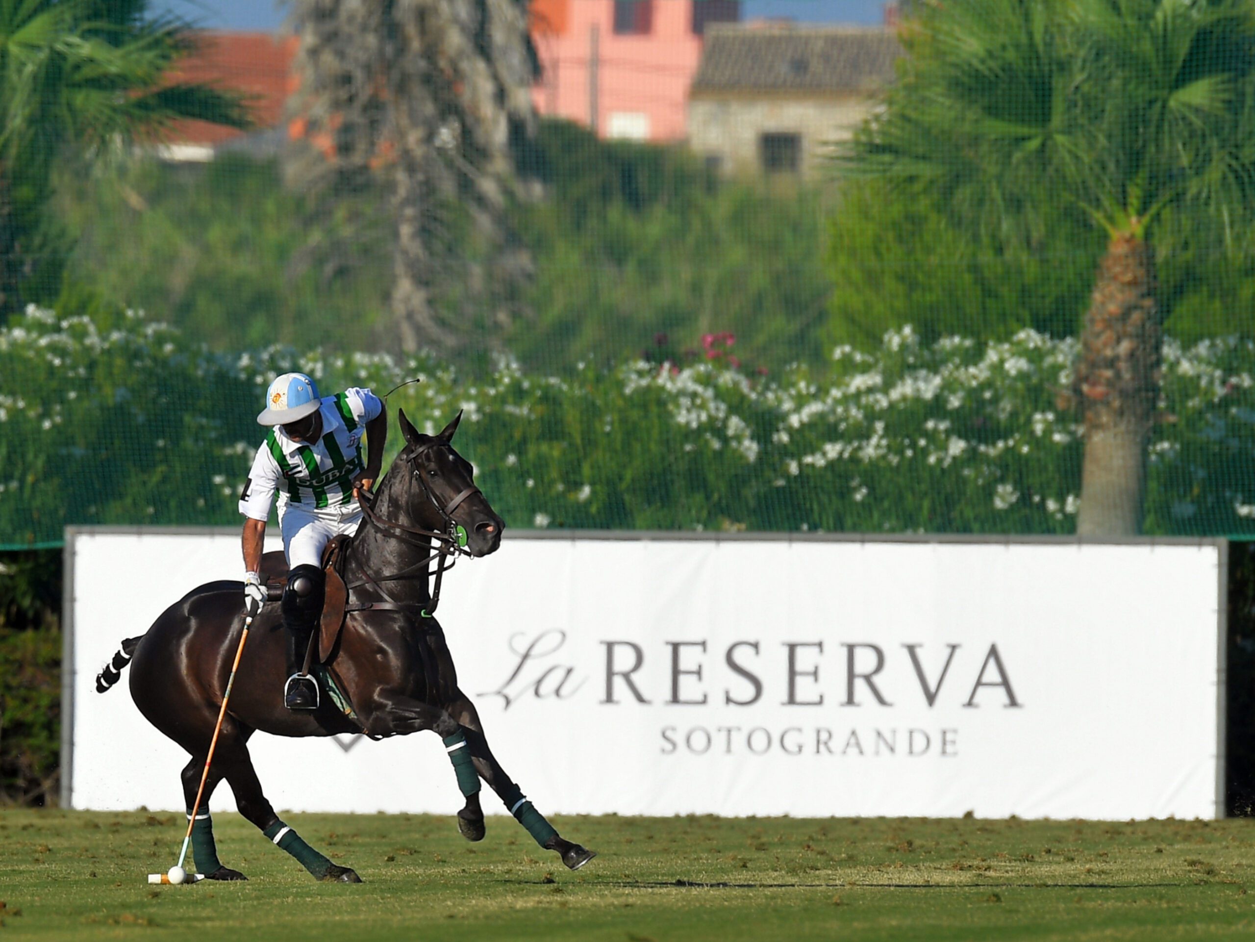 A polo player ina polo match cantering down the Cancha with the ball with a La Reserva publicity sign behind it