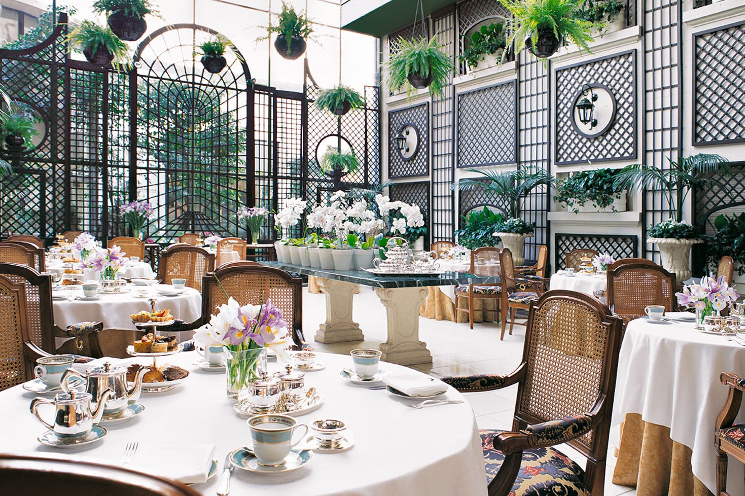 A luxury dining area is covered by potted and hanging plants, with stylish chairs and tables featuring a variety of teas and cakes.