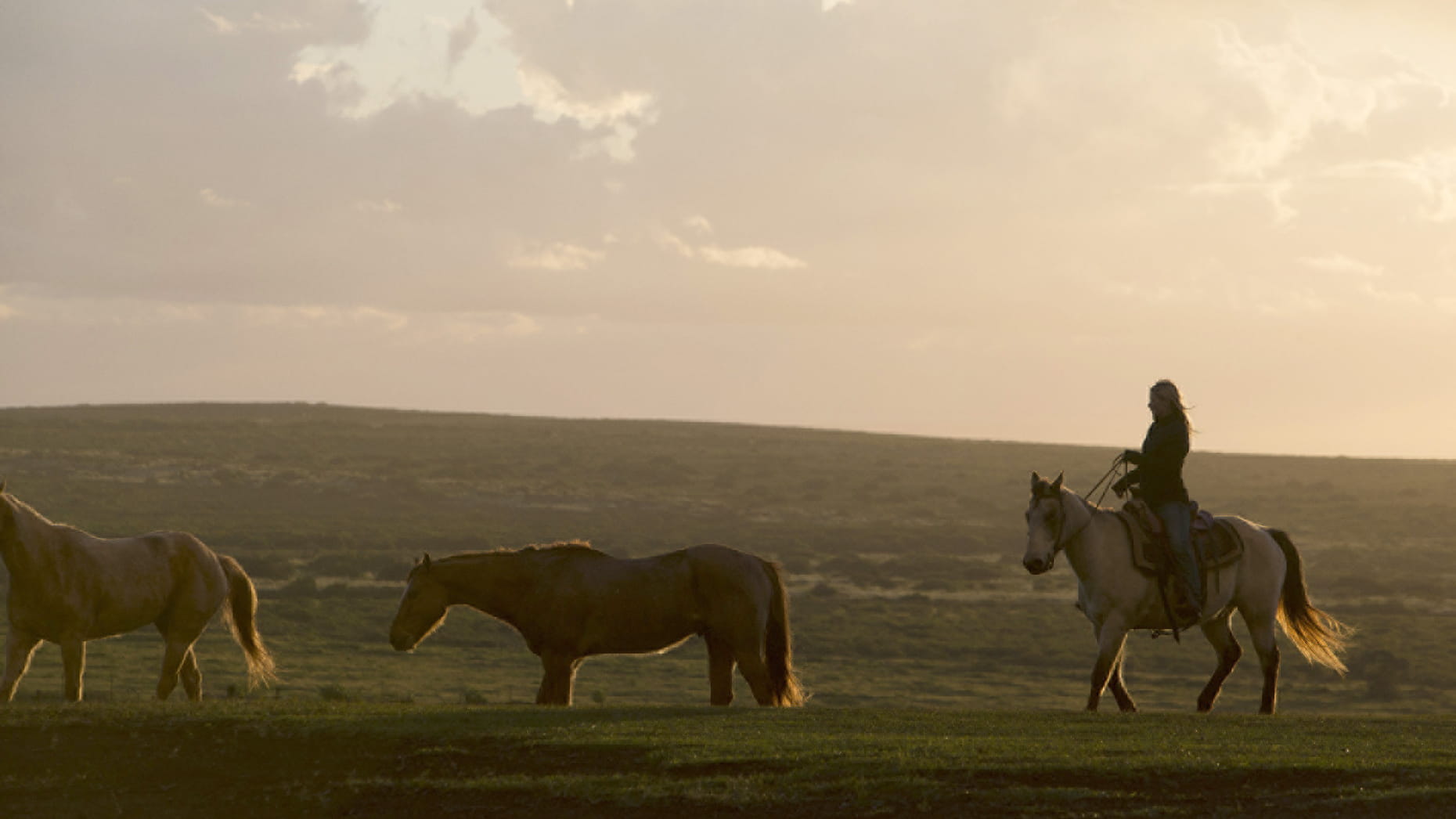 A woman riding a majestic horse on Lanai's incredible hills.