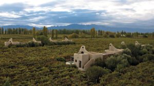 A view of the lodges surrounded by greenery.