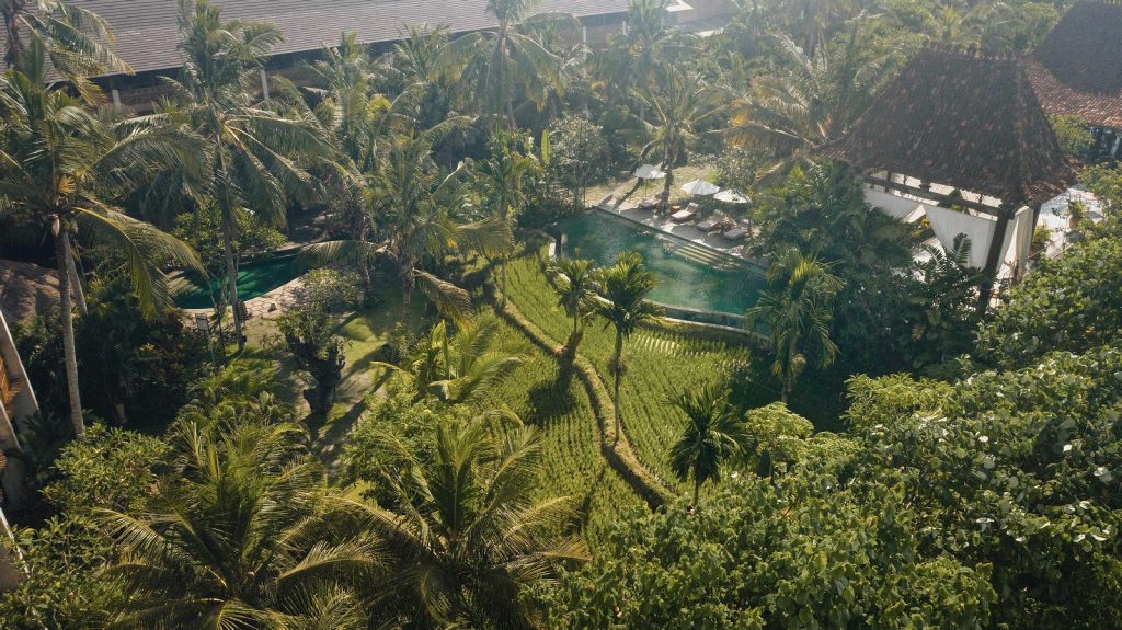 Aerial shot of Alaya Resort featuring its outside pools, the resort grounds and the surrounding trees.