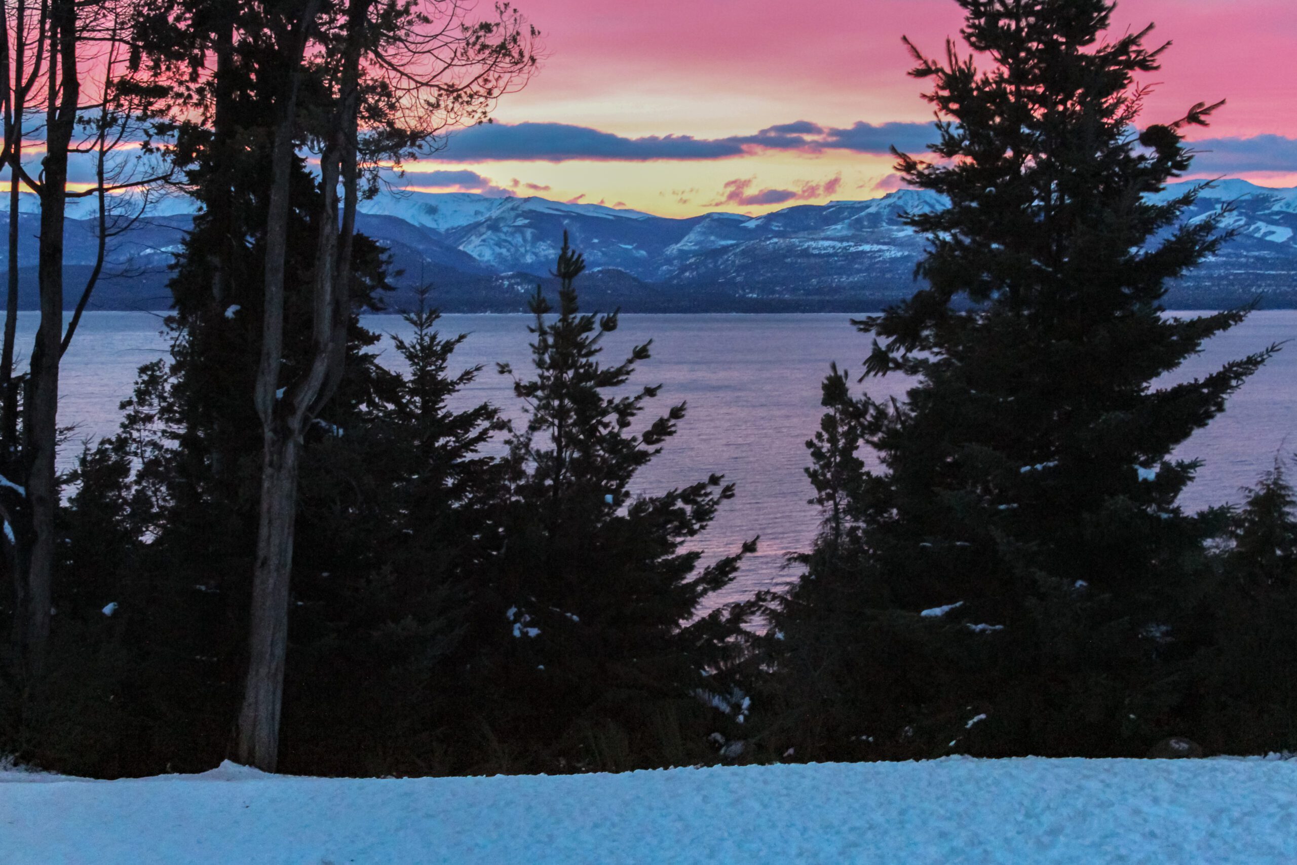 View of lake in Bariloche in Argentina at sunset in the winter with dark pine trees in silhouette at the front then the lake behind and snowcapped mountains in the distance with a golden and pink sky