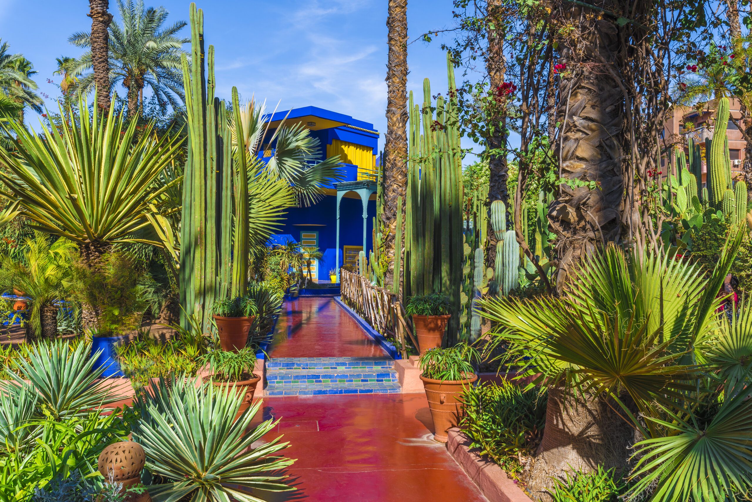 The vibrant gardens at Le Jardin Majorelle, featuring a red and blue path lined with a variety of plants on either side with a bright blue and yellow building at the end of the path.