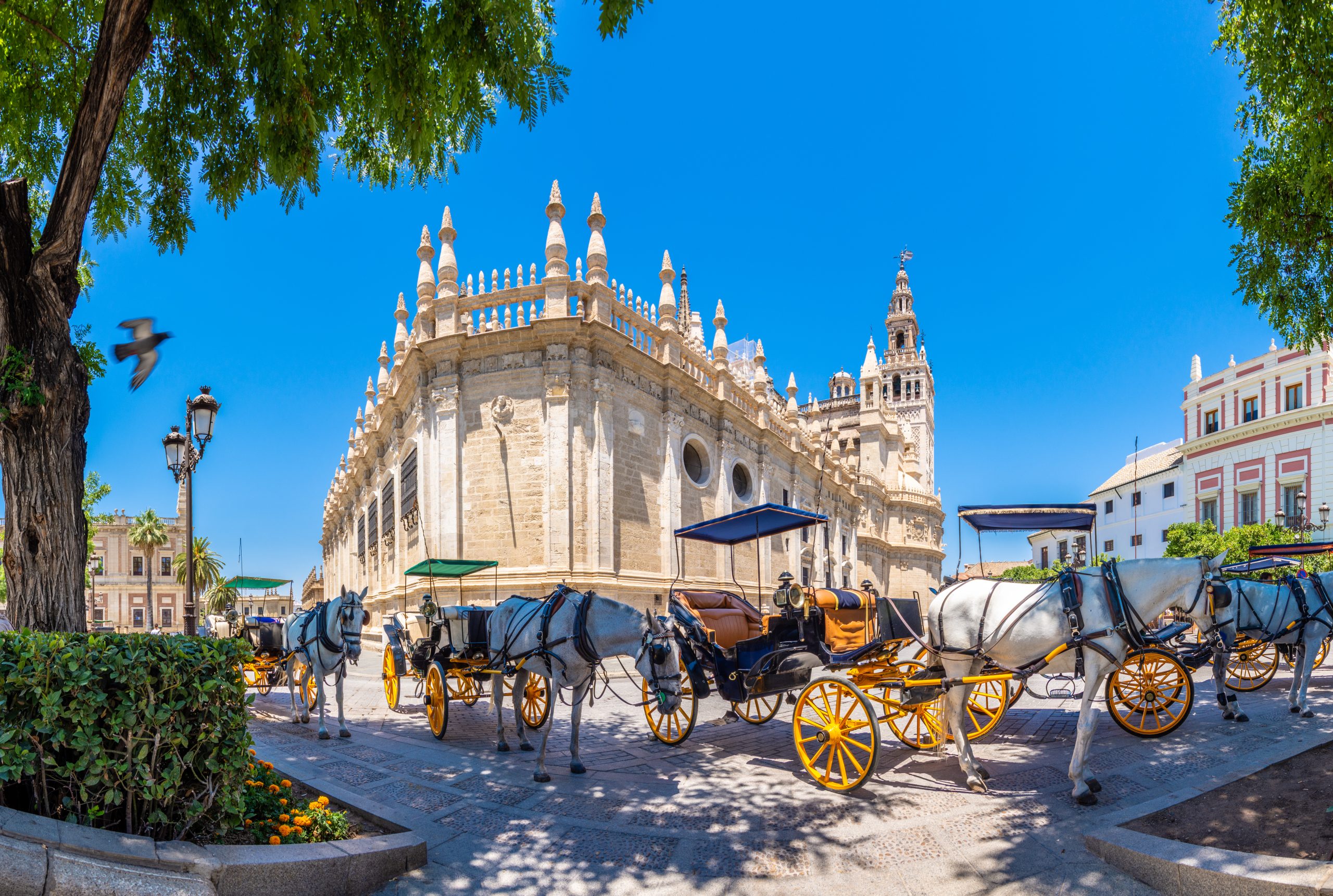 Horse drawn carriages for tourist rides wait outside the historic buildings of Seville in Spain under bright blue skies.