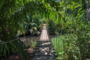 Rickety suspended bridge going through the natural rainforest park across a river in Drake Bay Costa Rica