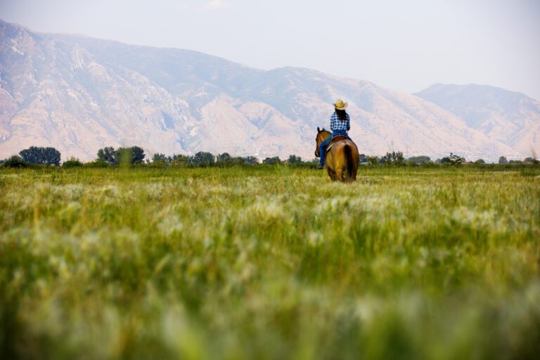 Image from behind of a cowgirl on her horse on the plains of an open range in western USA with mountains inthe distance.