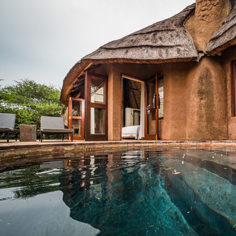 An outdoor pool with sun loungers at the edge of the pool.