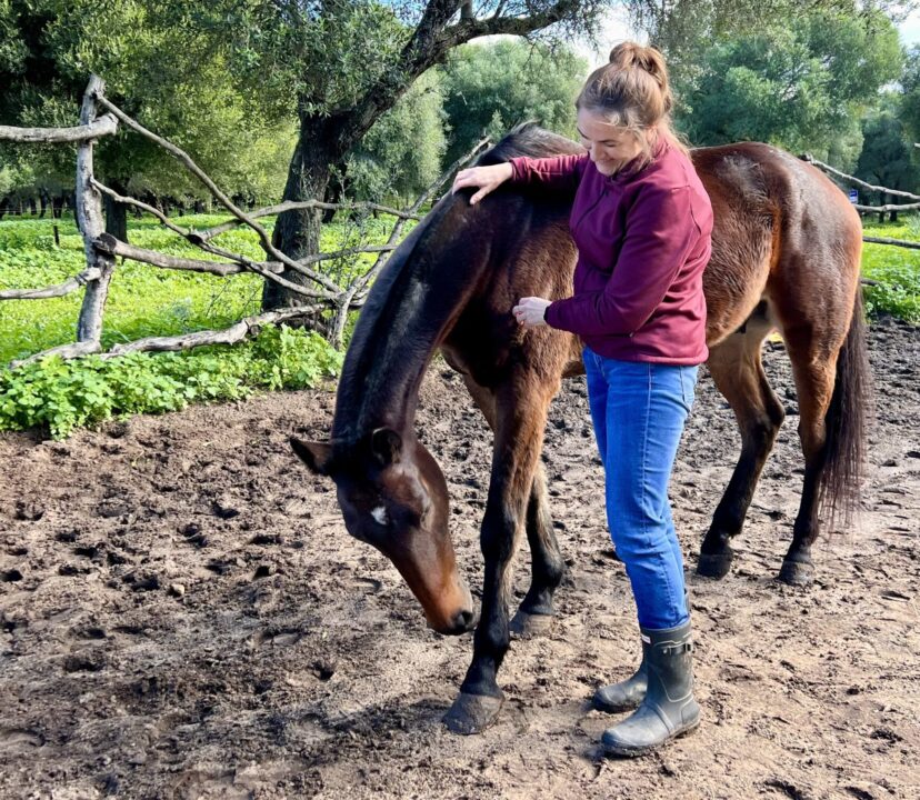 Clare Westwood Owner of Travel with Abeona with a horse during the Arion Coaching Session