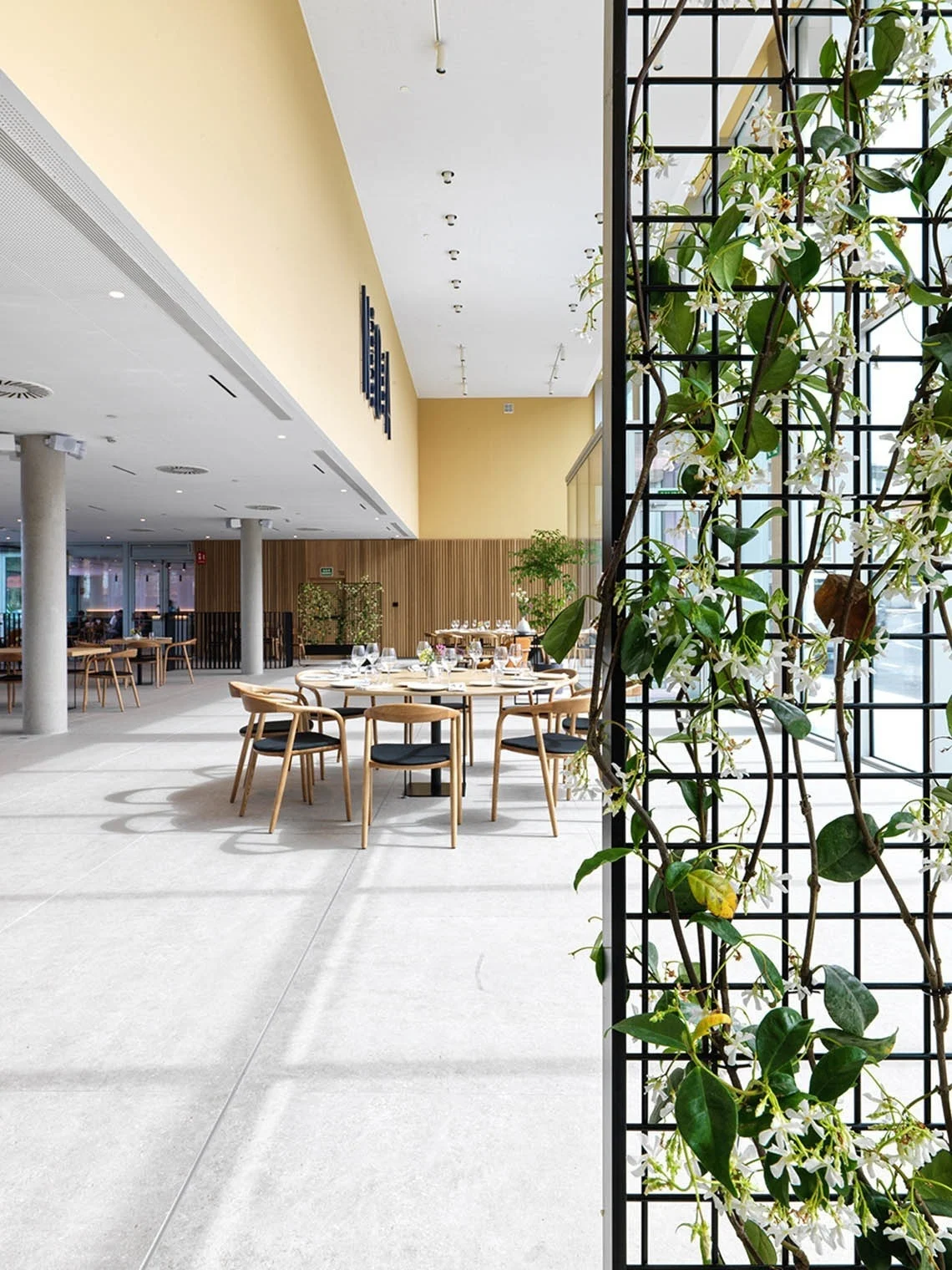 The lobby in he luxury hotel with a seating area and climbing plants in the foreground.