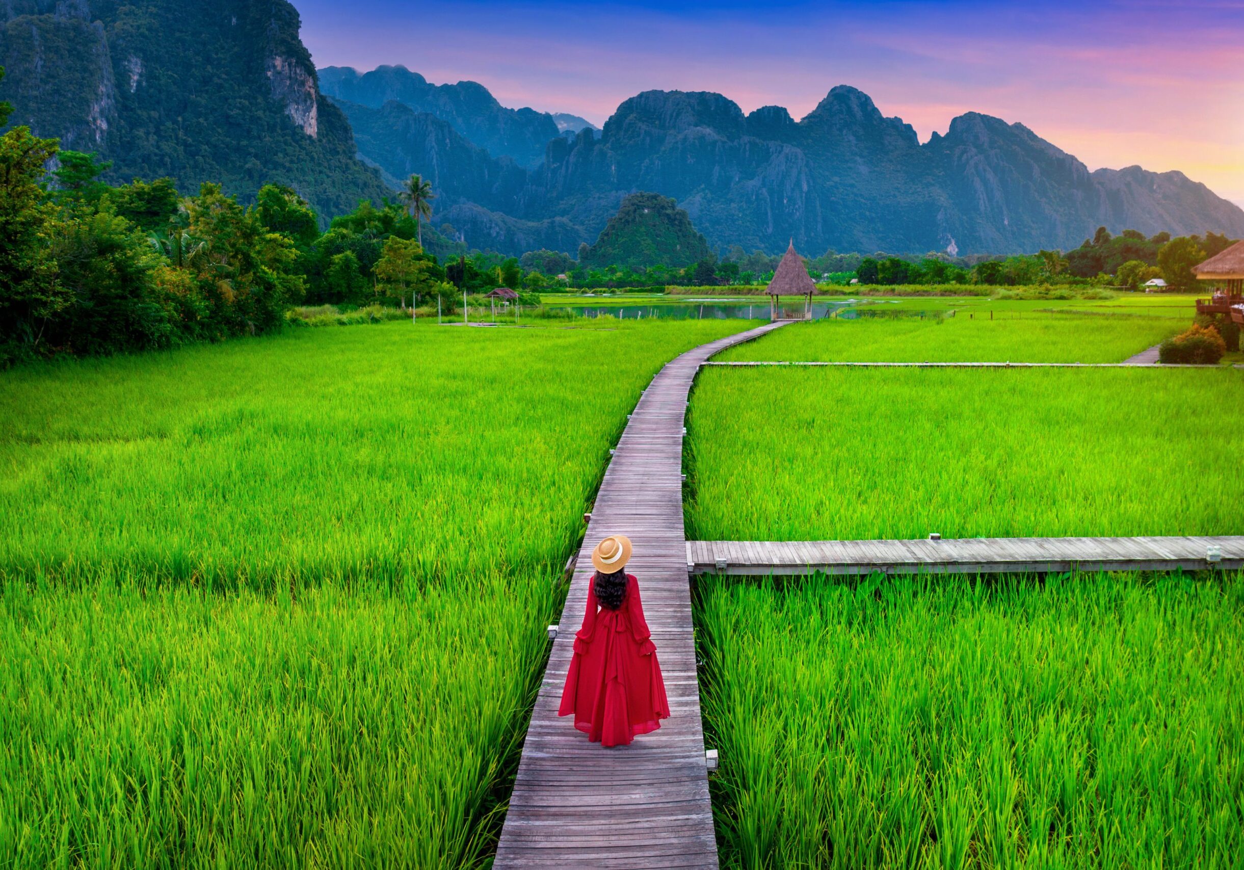 Young woman, a solo female traveller walking on wooden path with green rice field in Vang Vieng, Laos.